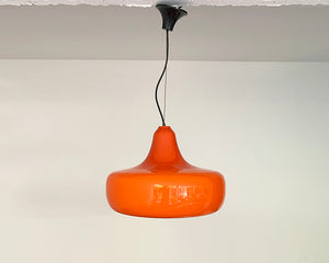 Mid-Century Murano Glass Pendant Lamp by Alessandro Pianon for Vistosi, 1960s