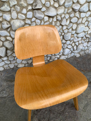 LCW Lounge Chair in Birch by Charles & Ray Eames for Herman Miller, 1950s