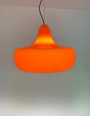 Mid-Century Murano Glass Pendant Lamp by Alessandro Pianon for Vistosi, 1960s