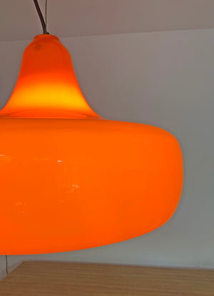 Mid-Century Murano Glass Pendant Lamp by Alessandro Pianon for Vistosi, 1960s