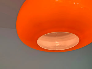 Mid-Century Murano Glass Pendant Lamp by Alessandro Pianon for Vistosi, 1960s