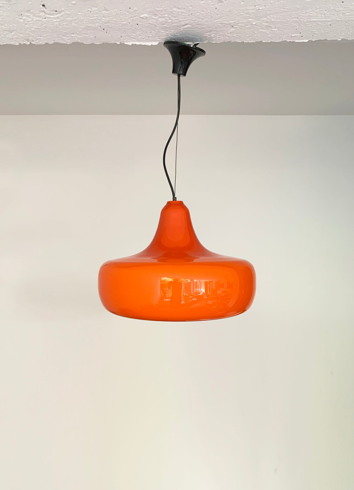 Mid-Century Murano Glass Pendant Lamp by Alessandro Pianon for Vistosi, 1960s