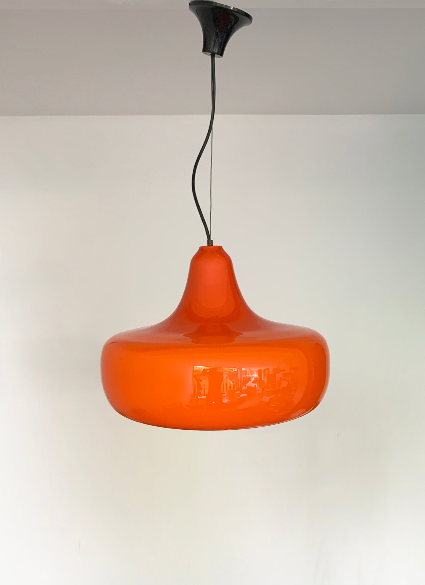 Mid-Century Murano Glass Pendant Lamp by Alessandro Pianon for Vistosi, 1960s